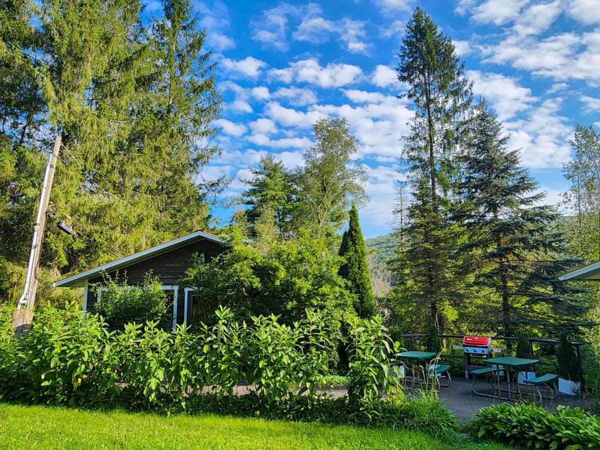 Belleayre Lodge パインヒル エクステリア 写真