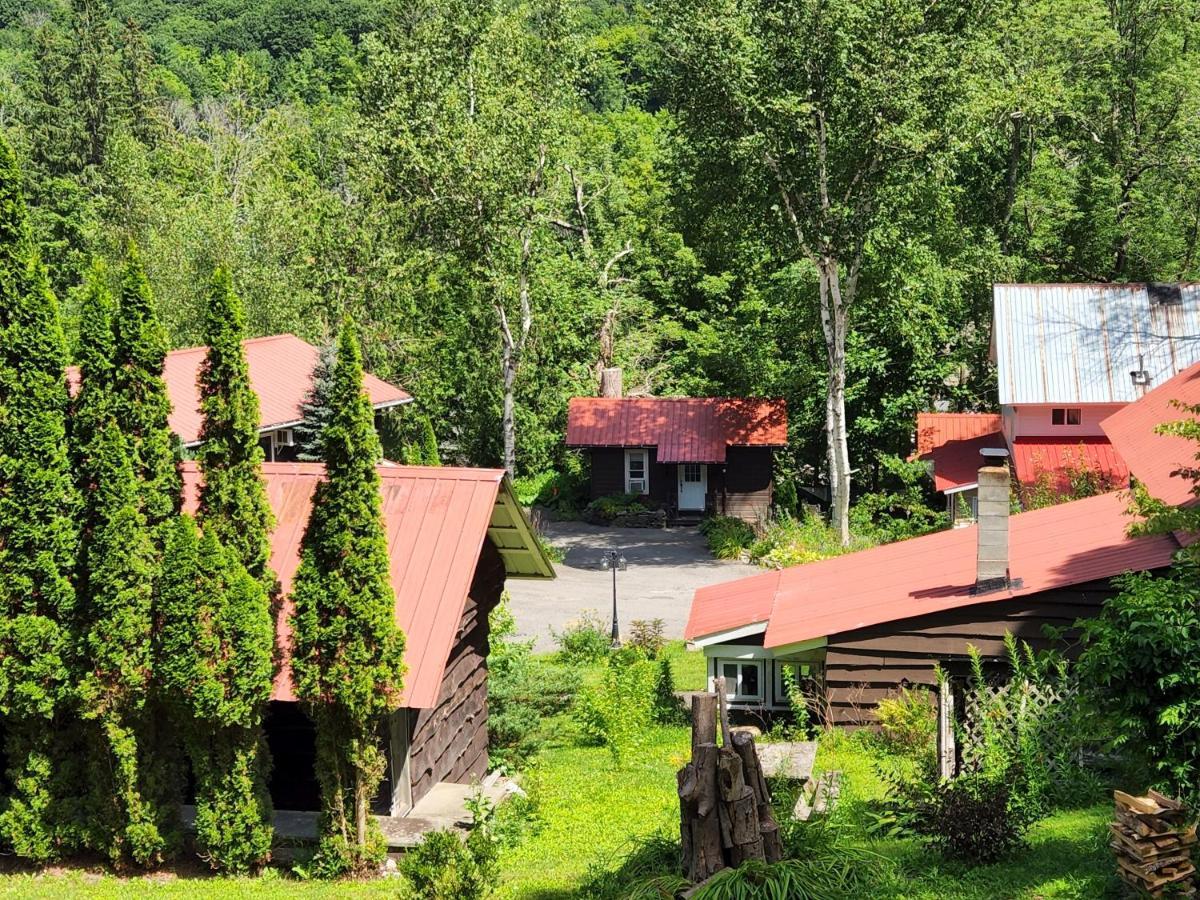 Belleayre Lodge パインヒル エクステリア 写真