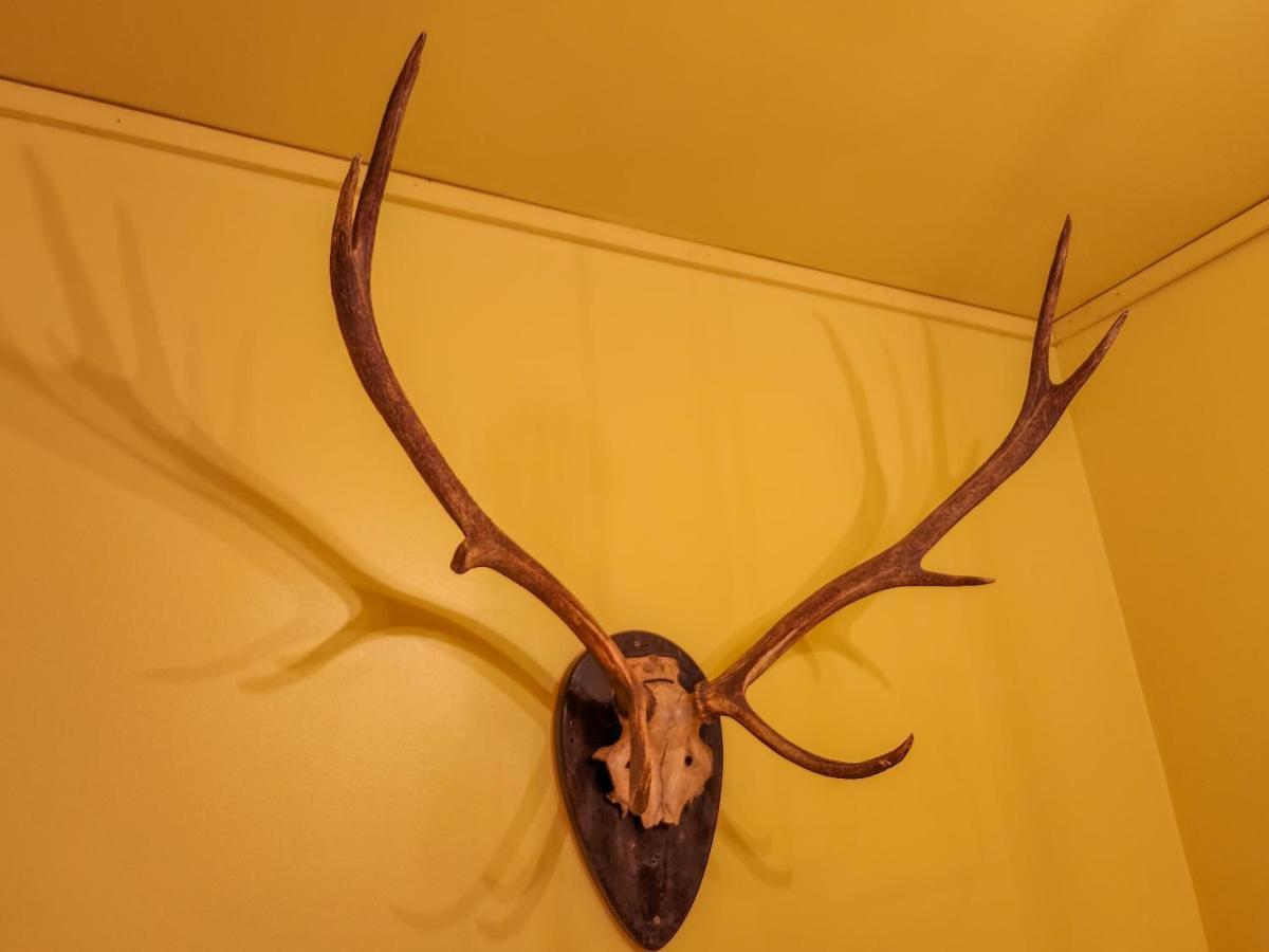 Belleayre Lodge パインヒル エクステリア 写真