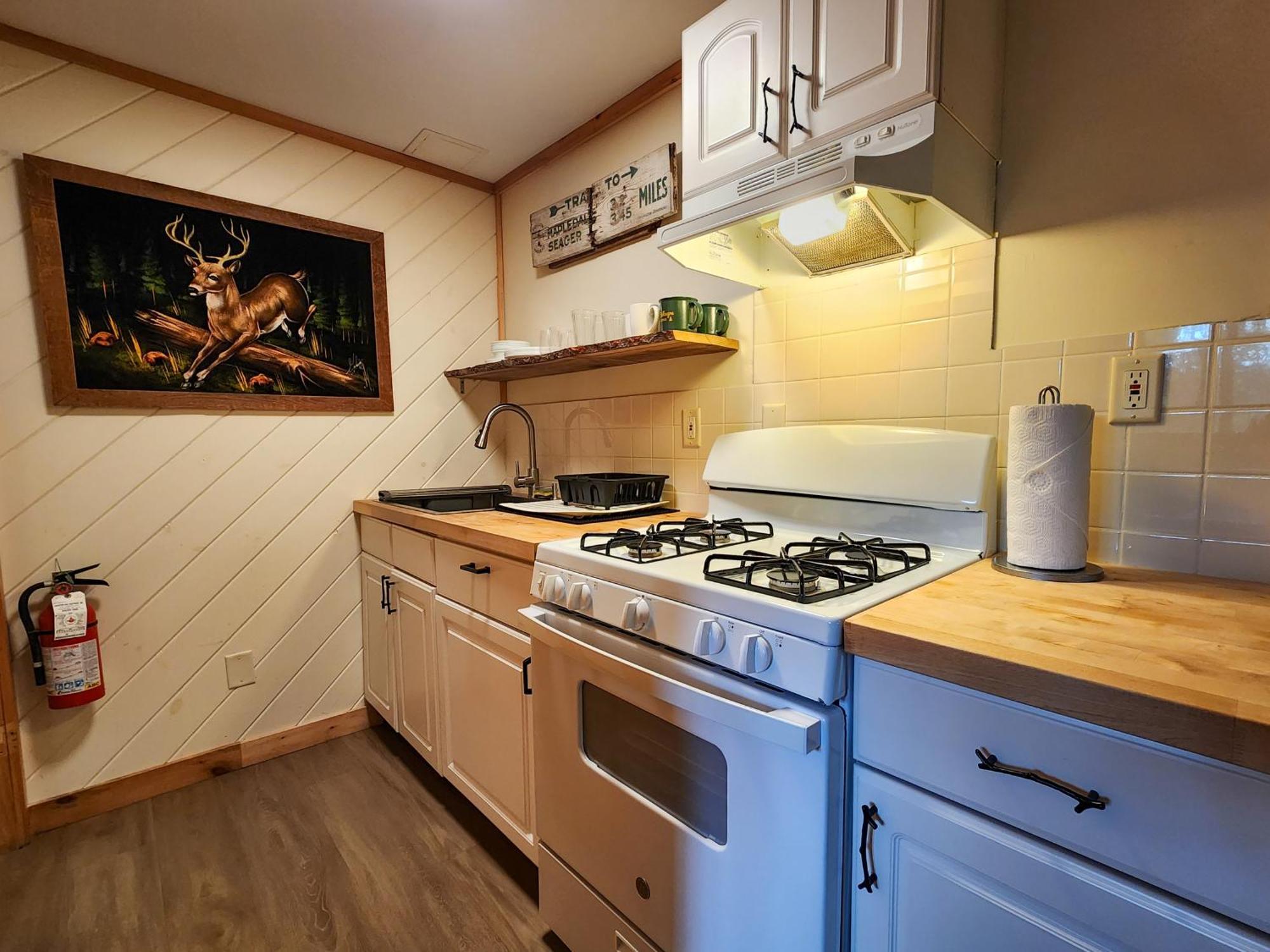 Belleayre Lodge パインヒル 部屋 写真